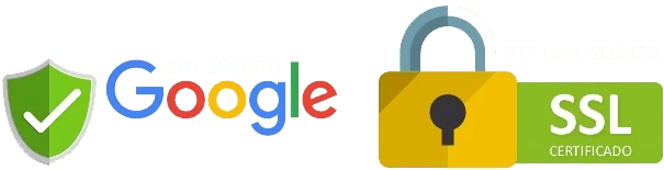 Site seguro Google